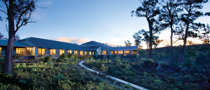 A large building with many windows illuminated from the inside, set in a natural environment with trees and vegetation. A winding path leads up to the building, and the clear sky suggests it is either dawn or dusk.