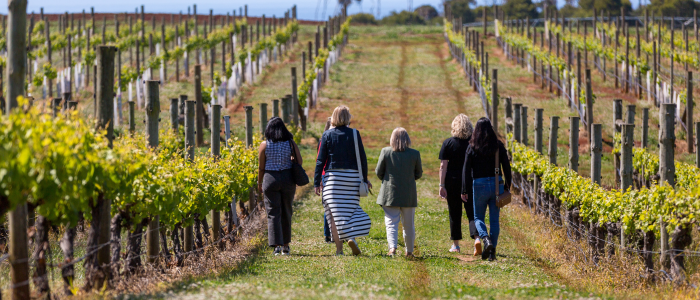 Four people walking through a vineyard along a grassy path between rows of grapevines supported by wooden posts and wires. They are walking away from the camera.