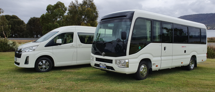 Two white minibuses parked on a grassy area, with the smaller, streamlined one on the left and a larger, boxier one on the right. Both have tinted windows and are set against a backdrop of trees and a distant body of water under an overcast sky.