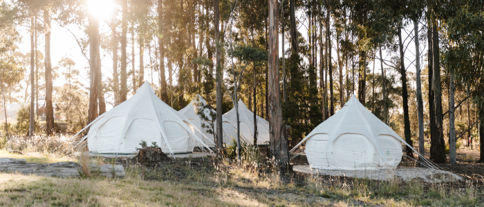 Serene outdoor setting featuring three white, dome-shaped tents nestled among tall trees. Sunlight filters through the foliage, illuminating the grassy ground and small plants, creating a peaceful, rustic atmosphere.