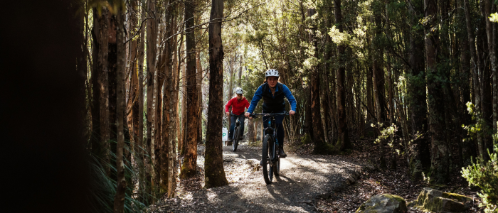 Two mountain bikers ride along a dirt trail through a dense forest with sunlight filtering through tall trees, showcasing an adventurous outdoor biking experience in nature.