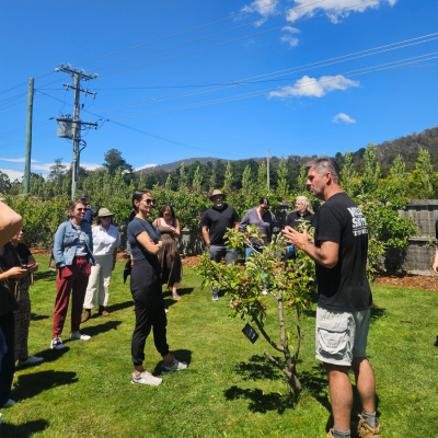North America Famil Day 1.5 Group of people standing on a grassy area in an orchard, listening to a person speaking near a small tree, with rows of trees, hills, and power lines visible in the background under a clear blue sky.