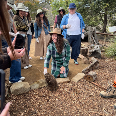 North America Famil Day 2.4 Person kneeling on a dirt path petting an echidna, surrounded by a group of people observing in an outdoor wildlife setting with rocks, trees, and wooden logs.