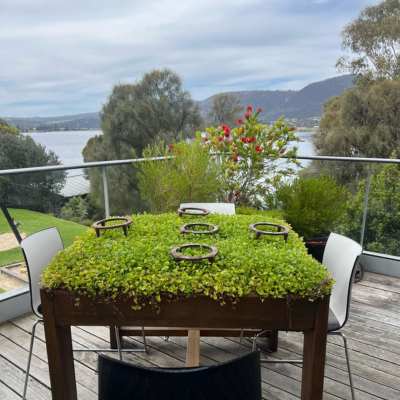 North America Famil Day 2.8 Outdoor deck with a square wooden table covered in green foliage and circular metal rings, surrounded by white chairs, overlooking a scenic view of a lake, hills, and trees under a cloudy sky.
