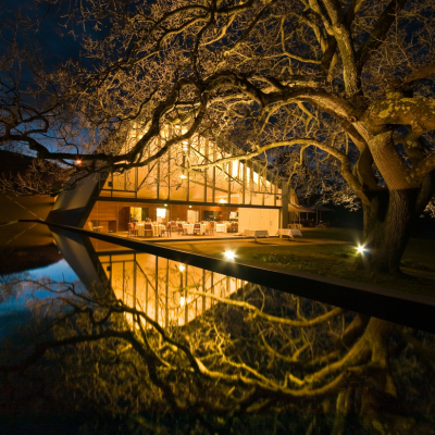 Peppermint Bay 3 Exterior view of a modern glass-fronted building at night, warmly lit from inside and reflected in a still water feature, framed by large leafless tree branches under a dark sky.