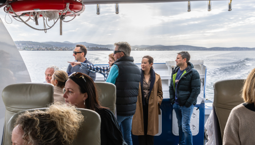 Pennicott Wilderness Journeys Story 2026 - 2