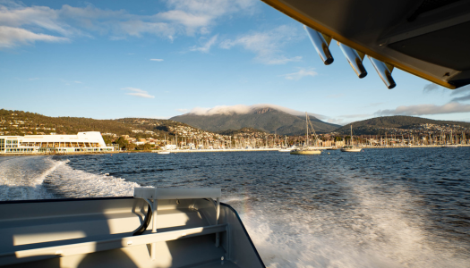 Pennicott Wilderness Journeys Story 2026 - 3