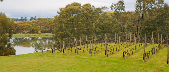 2026-STORY-Josef Chromy-1WEB