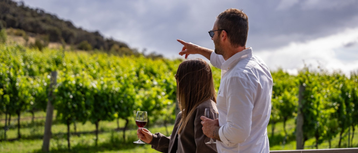 Wine Hopper 3